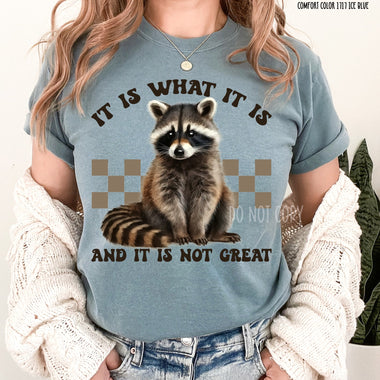 It is What it Is Screen Print High Heat Transfer J10