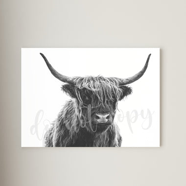 Highland Cow #2 Canvas Print Framed or Unframed