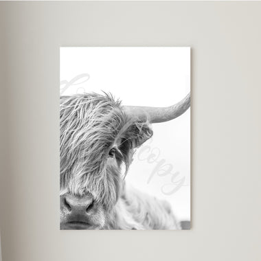 Half Face Highland Cow Canvas Print Framed or Unframed