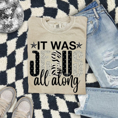 It was Jesus All Along Wholesale Tee