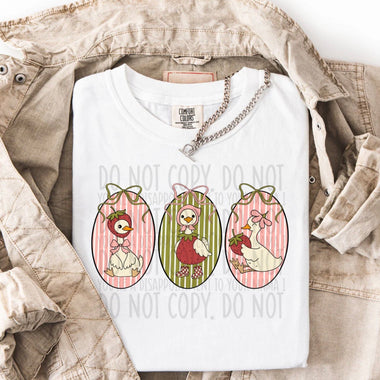 Strawberry Goose Coquette Circles DTF Transfer (SWD)