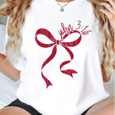 John 3:16 Red Ribbon Front Single Color Screen B9