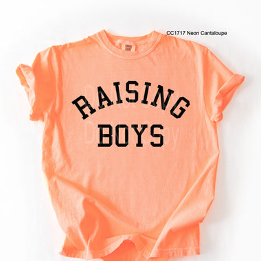 Raising Boys Single Color Screen V81
