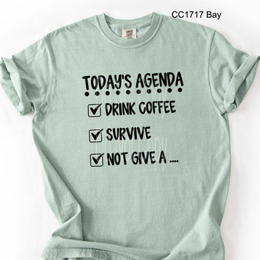 Today's Agenda Single Color Screen R72