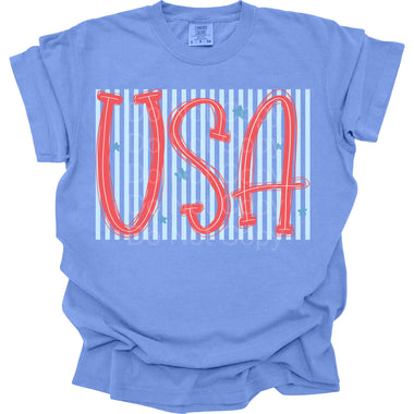USA with Light Blue Stripes DTF Transfer (SCD)