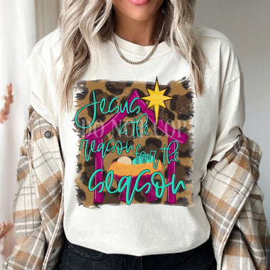 Jesus is the Reason Screen Print Transfer U50