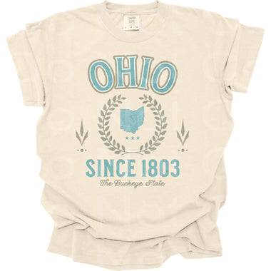 Ohio 2 DTF Transfer