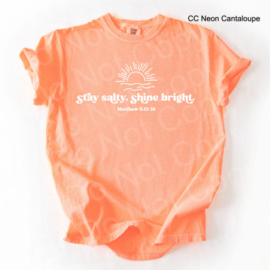 Stay Salty and Shine Bright Single Color Screen B54