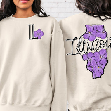 Whimsy Illinois DTF Transfer