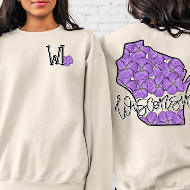 Whimsy Wisconsin DTF Transfers
