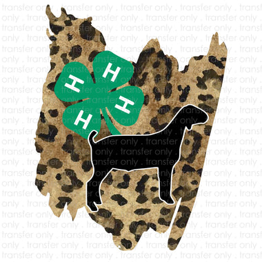 4h Goat Sublimation Transfer