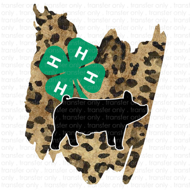 4h Pig Sublimation Transfer
