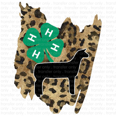 4h Sheep Sublimation Transfer