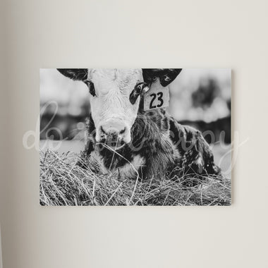 Baby Cow 23 Tag Printed Canvas