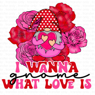 I wanna gnome what love is Sublimation Transfer