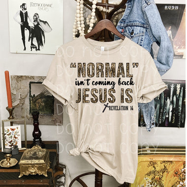 "NO restocks" Normal isn't Coming Back Screen Print High Heat Transfer W19