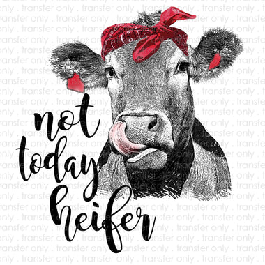 Not Today Heifer Sublimation Transfer