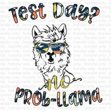 Test Day No Prob-llama Sublimation Transfer