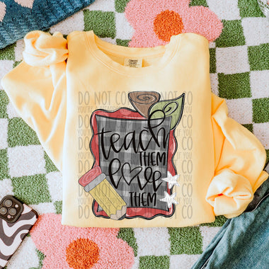 Teach Them Love Them DTF Transfer (SWD)