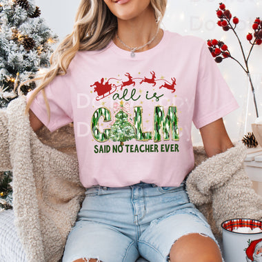 All is Calm Said No Teacher DTF Transfer