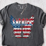 America Vintage Wings DTF Transfer