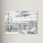 Desert Scene Canvas Print Framed or Unframed