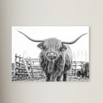 Longhorn Highland Cow Canvas Print Framed or Unframed