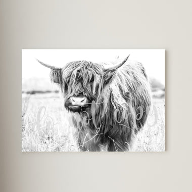 Highland Cow with Grass Canvas Print Framed or Unframed