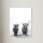Double Highland Cows Canvas Print Framed or Unframed