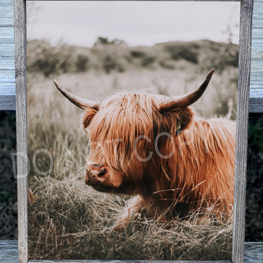 Highland Cows Canvas Print Framed or Unframed