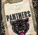 Panthers DTF Transfer (KD)