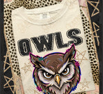 Owls DTF Transfer (KD)