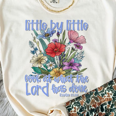 Little By Little look At What the Lord Has Done DTF Transfer