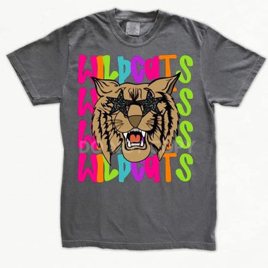 Star Eye Mascot Wildcats DTF Transfer