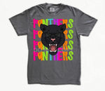 Star Eye Mascot Panthers DTF Transfer