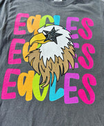 Star Eye Mascot Eagles DTF Transfer