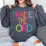 Praise the Lord Bright & Fun DTF Transfer (S&G)