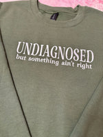 Undiagnosed Wholesale Embroidered Sweatshirt