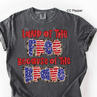 Land of the Free Because of the Brave DTF Transfer