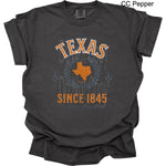 Texas 1 DTF Transfer