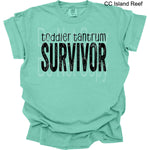 Toddler Tantrum Survivor Single Color Screen B15