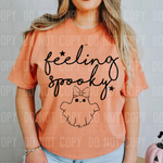 Feeling Spooky DTF Transfer (SBBB)