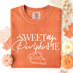 Sweet As Pumpkin Pie WHITE DTF Transfer (SBBB)