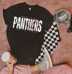 Leave It All On The Field PANTHERS Baseball WHITE DTF Transfer