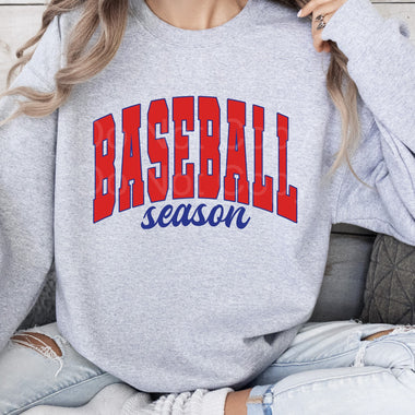 Baseball Season Red and Blue DTF Transfer