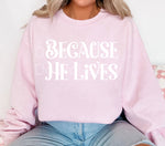 Because He Lives Single Color Screen Q41