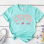 Cupid University Faux Gitter DTF Transfer