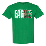 EAGLES Football WHITE Leave It All On The Field DTF Transfer (E)