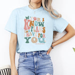 I Know the Plans I have for You DTF Transfer