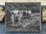 Black and White Highland Cow Canvas Print Framed or Unframed